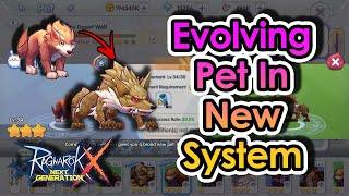 [ROX] Risk It All: Evolving Pets In ROX New Pet System | KingSpade