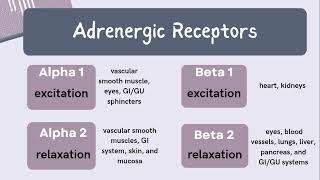 Np Learning - Review of Alpha and Beta Adrenergic Receptors 