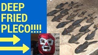 How to prepare Deep Fried Pleco (Plecostumos) Armored Catfish