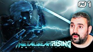 RULES OF NATURE | First Playthrough | Metal Gear Rising - Part 1