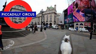 Long walk around Piccadilly Circus with Sigrid