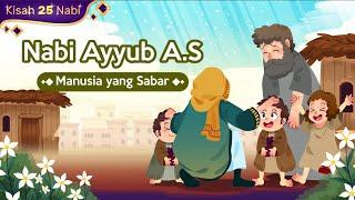 Kisah Nabi Ayyub - Manusia Paling Sabar | Kisah Teladan Nabi | Cerita Islami | Cerita Anak Muslim