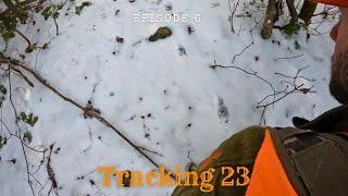 Tracking Giant Bucks on Snow | Big Woods Bucks