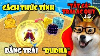 Cách Thức Tỉnh Tất Cả Trái Ác Quỷ Trong Blox Fruit Ở Sea 2 Bằng Trái Phật Tổ | Roblox