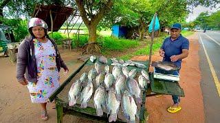 Awesome! Dreamy Village Fish Market Master Reveals Street Fish Cutting SECRETS