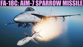 FA-18C Hornet: Aim-7 Sparrow Missile (FLOOD/STT) Tutorial | DCS WORLD