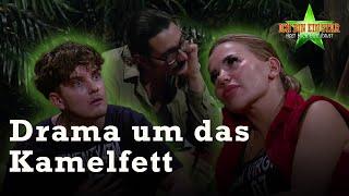 Kim & Tim im Mittelpunkt des Kamel-Dramas  | Dschungelcamp 2024