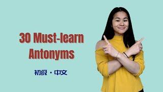 30 Must-Know Antonyms in Chinese | Beginners （HSK2\3)