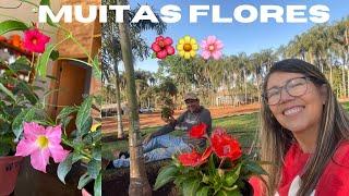 CONCLUÍDA MAIS UMA ETAPA DO JARDIM COM MUITAS FLORES  / VLOG DO NOSSO DIA AQUI NO SÍTIO 