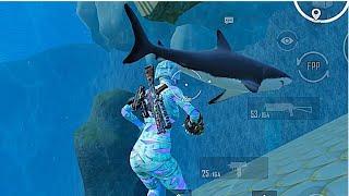 Never swim near the sharks in pubg mobile...