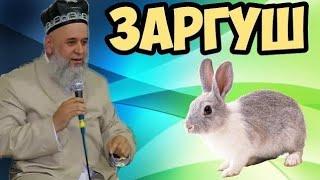 ХОЧИ МИРЗО  - ГУШТИ ХАРГУШ ХАРОМАЙ?