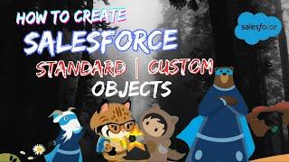 How to create Objects - Standard | Custon  | Salesforce Admin | #codeisha