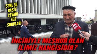 İnciriyle Meşhur Olan İlimiz Hangisidir?