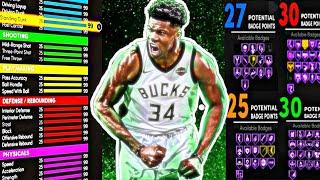 RARE Stretch Playmaker Build 2k21 Next Gen. Best Rare Build 2k21