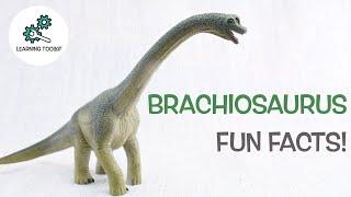 BRACHIOSAURUS FACTS! | Fun & Educational | Dinosaurs For Kids | Best Dinosaur Facts