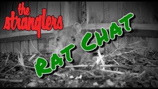 JJ & Baz - Rat Chat #7