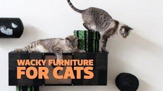 Wacky Furniture for Cats