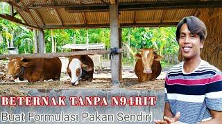 Al Beternak Sapi Tanpa Ngarit - Membuat Formulasi Pakan Sendiri Untuk Sapi di Kandangnya