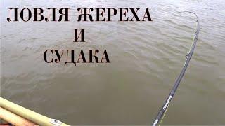 ОСЕННЯЯ ЛОВЛЯ СУДАКА И ЖЕРЕХА НА ДЖИГ - Рыбалка в Астраханской обл.