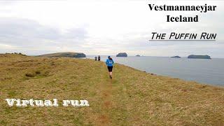 Puffin Run 2022 ~ Full Race | Vestmannaeyjar Iceland | Treadmill Workout | 2 hour 20km | no sound