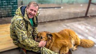 Вы помните ЭТУ СОБАКУ из Донецка? Олег Зубков. стоял перед ней на коленях и плакал, теперь ОНА ДОМА!