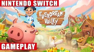 Everdream Valley Nintendo Switch Gameplay