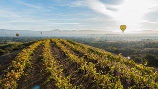 A Different View of California's Wine Country: Hot Air Balloon Ride