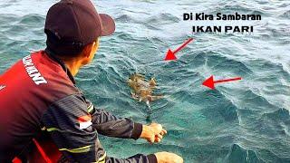 Di Kira Sambaran Ikan Pari || Mancing Cumi Siang Hari Di Karang Dangkal @AnglerCumi