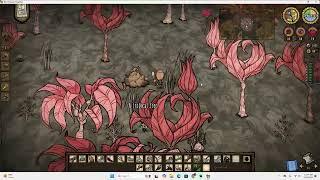 Don't Starve Together Hamlet! Temperate: Week 2 And Humid: Week 1.