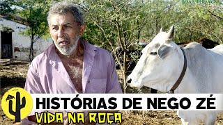 [VIDA NA ROÇA] NEGO ZÉ conta Histórias, e Tico Fideles, Tira Leite das VACAS - Parte 02 