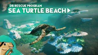 Sea Turtle Beach - Eggs & Breeding - Dolphin Bay Planet Zoo