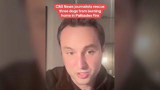 CBS News journalists rescue three dogs from burning home in Palisades Fire