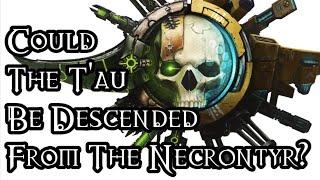 Could The T'au Be Descended From The Necrontyr? - 40K Theories