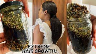 The Most Potent Hair Growth Oil Do Not Wash It Out for Extreme Hair Growth