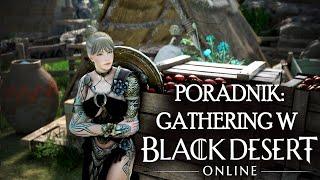 Black Desert poradnik: Gathering i wszystko co musisz o nim wiedzieć