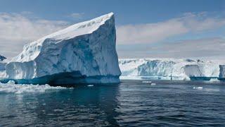 World’s Largest Iceberg A23a Runs Aground Near South Georgia Island