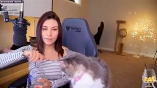 THESE eGirls NEED TO BE STOPPED! - Female Twitch Streamer Rant! Alinity, Zoie Burgher, Pink Sparkles