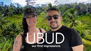 Exploring UBUD   BALI! First Impressions and visiting the FAMOUS Lazy Cat Cafe! Don't miss this!