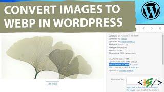 How to Convert Images to WebP in WordPress | Optimize Image