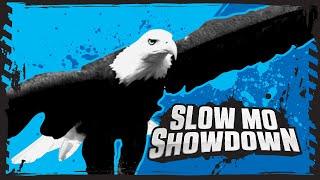 Bald Eagle Vs Lemon Shark! | Deadly Animal Showdowns | BBC Earth Kids