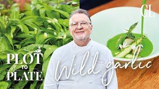 Wild garlic recipe: How to harvest and make a dinner party-worthy velouté | Country Living UK