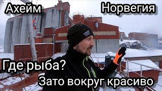 Где рыба? Зато красиво вокруг | Ахейм | Норвегия | Блог моряка