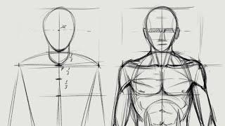 Figure Drawing Tutorial Pt1 (Body Divisions and Proportions)