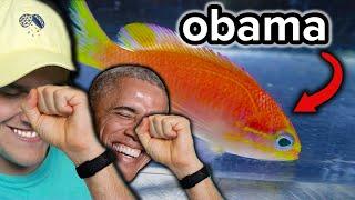 bruh, they named this fish "OBAMA"