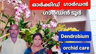 ഓർക്കിഡ് ഗാർഡൻ ടൂർ/Orchid care/Dendrobium orchid/ഓർക്കിഡ് വളപ്രയോഗം/jancys paradise/garden