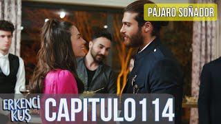 Pájaro soñador - Capitulo 114 (Audio Español) | Erkenci Kuş