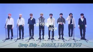 [rus sub/eng sub] Stray Kids -  Sorry, I Love You