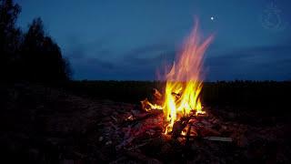  Campfire Ambience with Night Animals such as Owls and Crickets. Made for Relaxation & Sleep, Enjoy