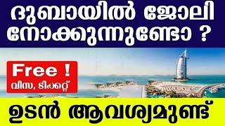 Dubai Job Vacancy 2024 Malayalam| UAE Job Vacancy| Gulf Job Vacancy Malayalam | Today Job Vacancy