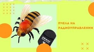 Игрушка насекомое на радиоуправлении Пчела 9923